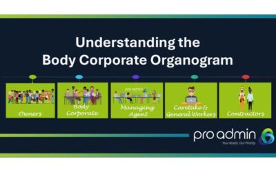 Understanding the Body Corporate Organogram: Who does what and why it matters